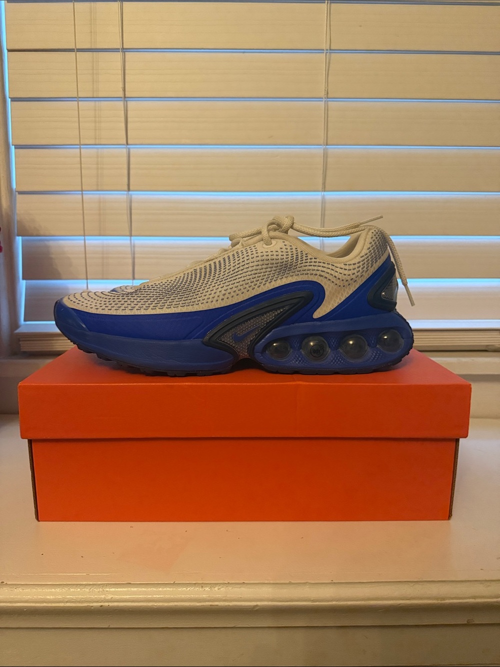 Nike Air Max Dn (Lightly worn)